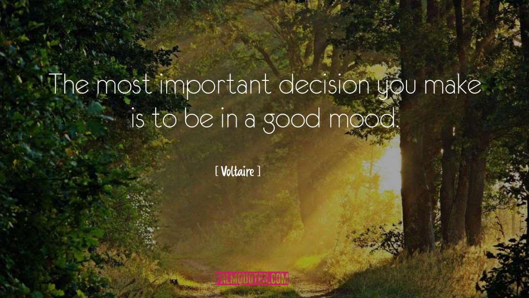 Good Decision quotes by Voltaire