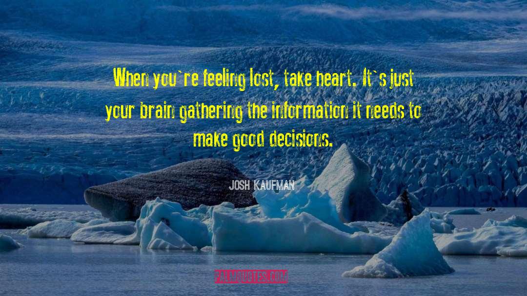 Good Decisions quotes by Josh Kaufman