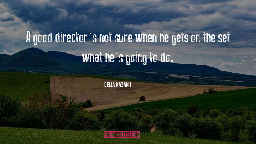 Good Directors quotes by Elia Kazan