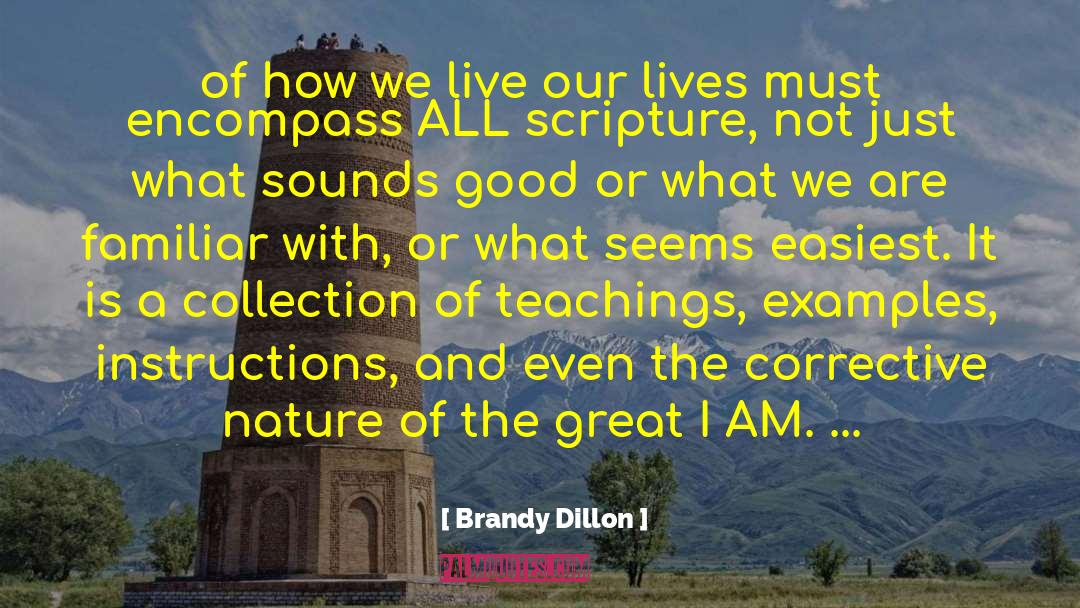 Good Discipline quotes by Brandy Dillon