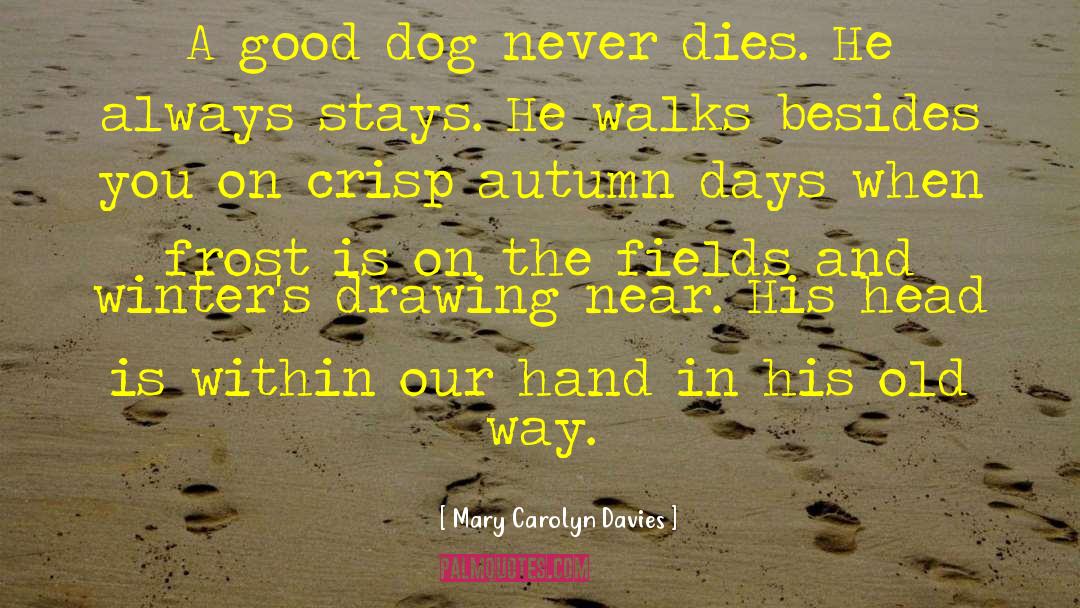 Good Dog quotes by Mary Carolyn Davies