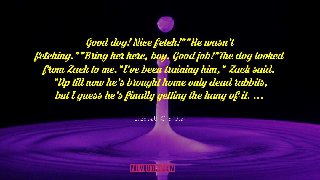 Good Dog quotes by Elizabeth Chandler