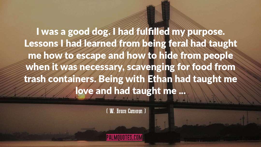 Good Dog quotes by W. Bruce Cameron