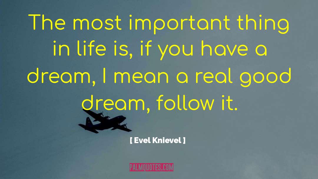 Good Dream quotes by Evel Knievel