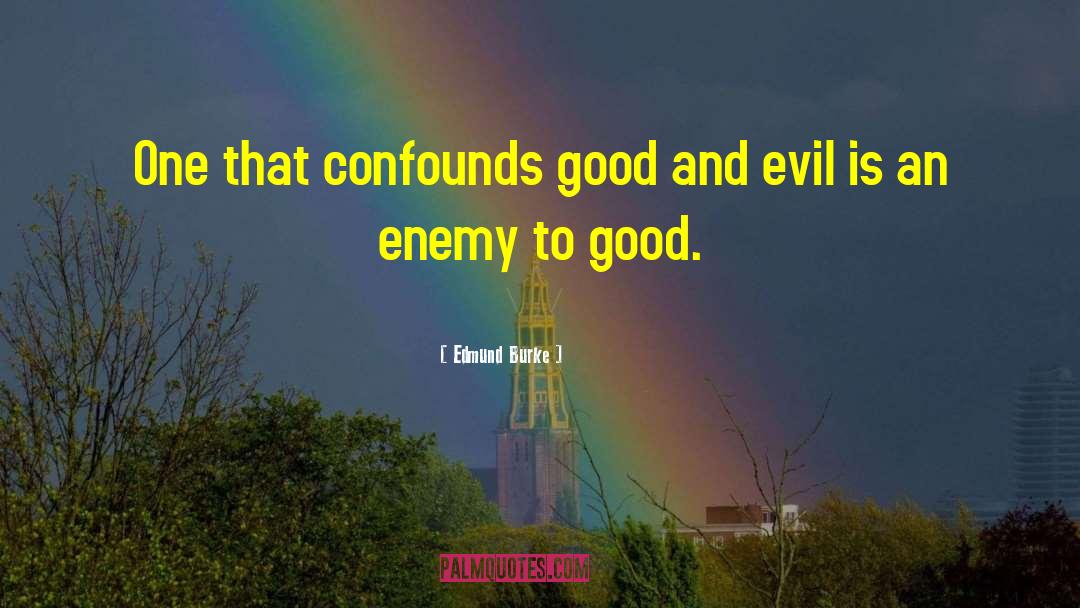 Good Enemy quotes by Edmund Burke