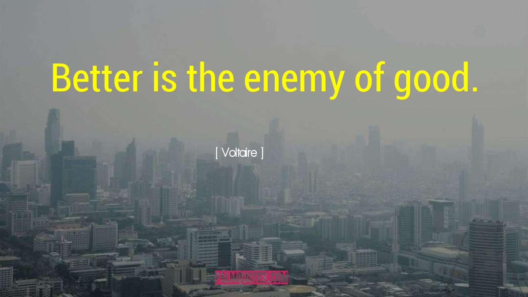Good Enemy quotes by Voltaire