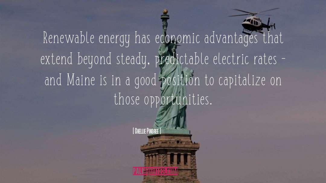 Good Energy quotes by Chellie Pingree