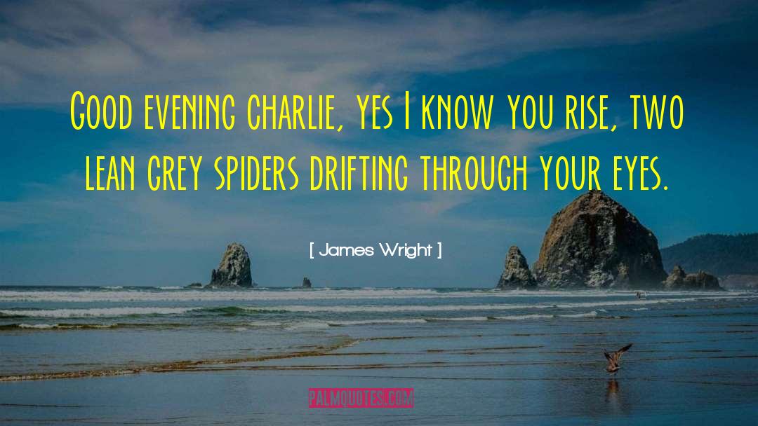 Good Evening quotes by James Wright