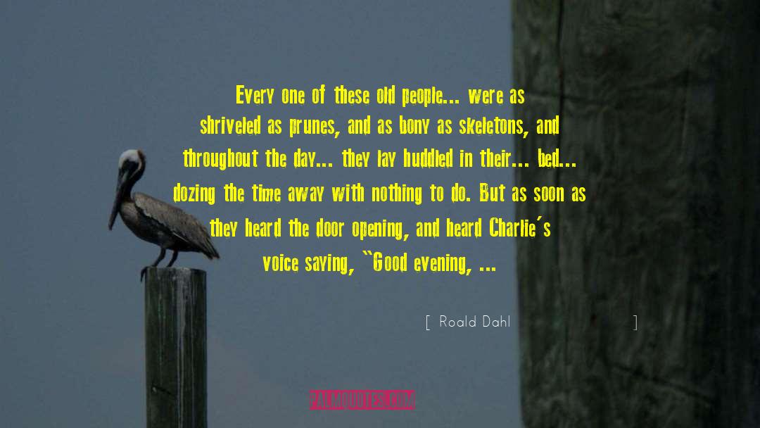 Good Evening quotes by Roald Dahl