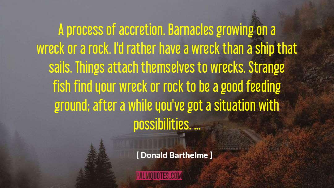 Good Exposure quotes by Donald Barthelme