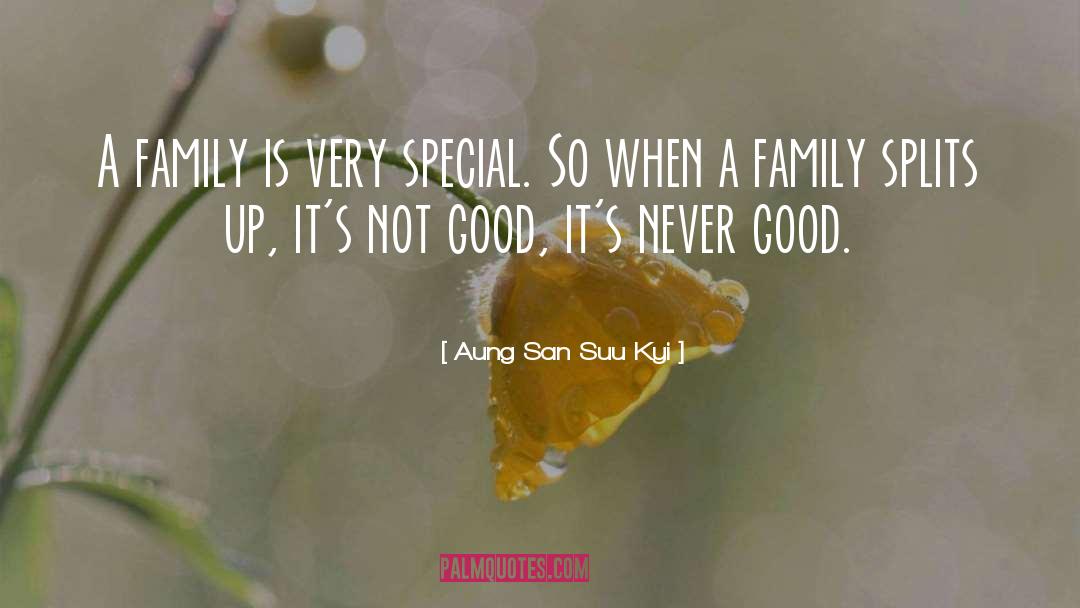 Good Family quotes by Aung San Suu Kyi
