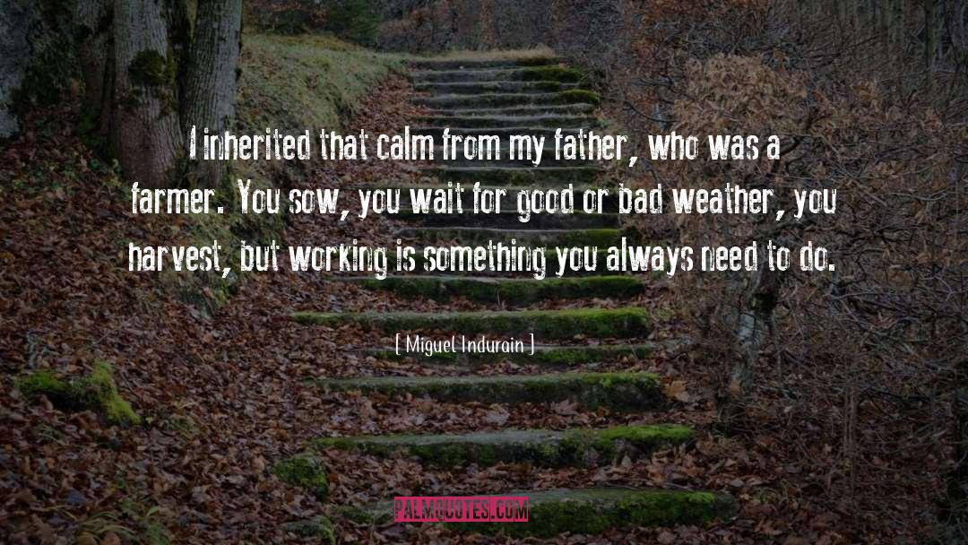 Good Father quotes by Miguel Indurain