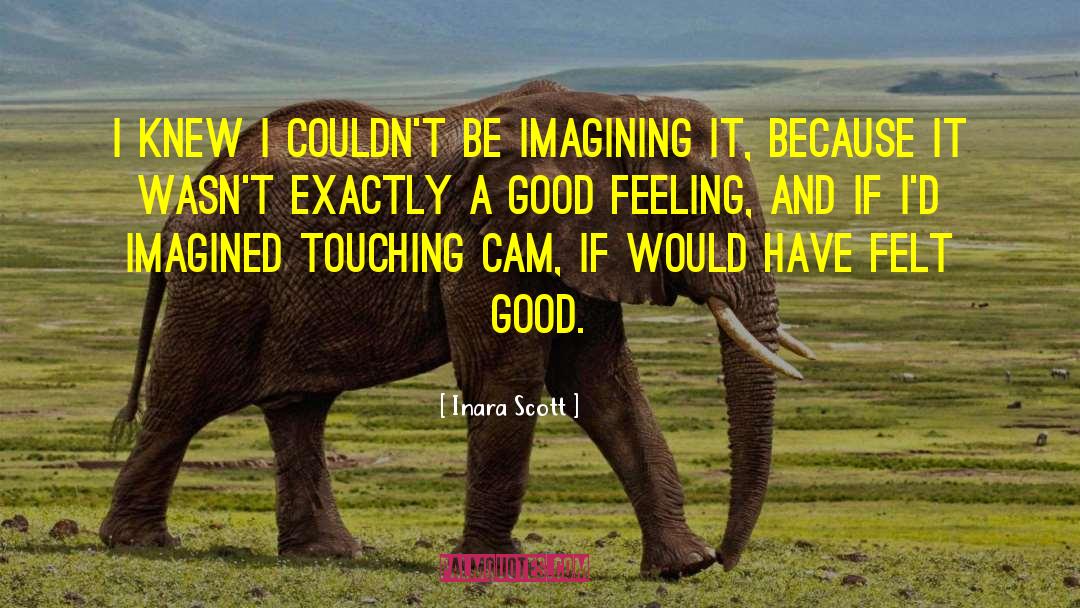 Good Feeling Life quotes by Inara Scott