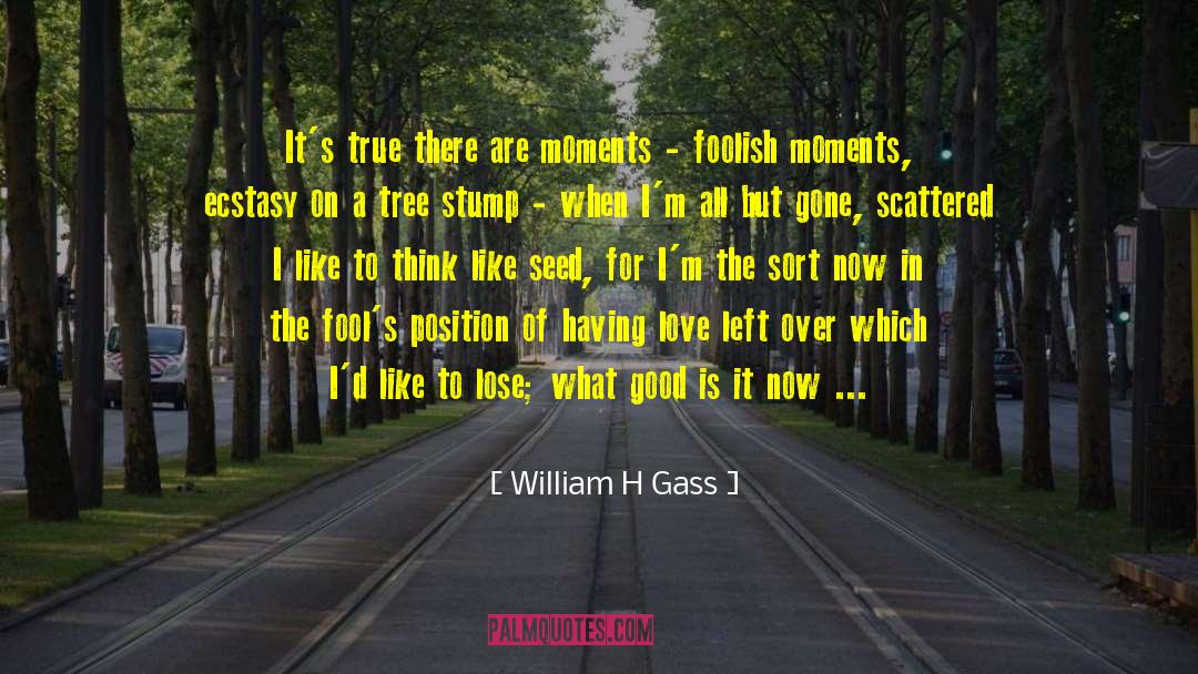 Good Fighting quotes by William H Gass