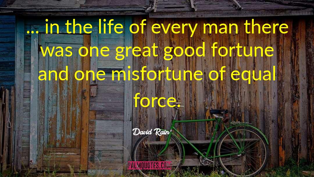 Good Fortune quotes by David Rain