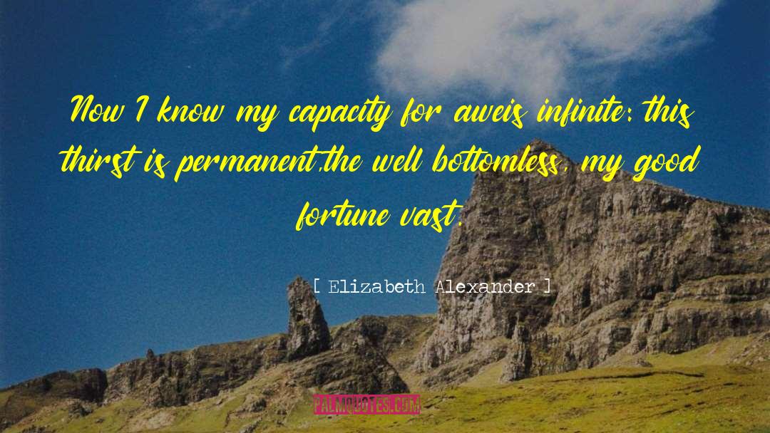 Good Fortune quotes by Elizabeth Alexander