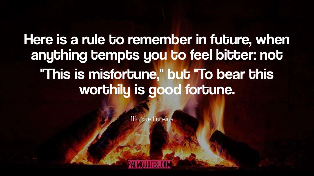 Good Fortune quotes by Marcus Aurelius