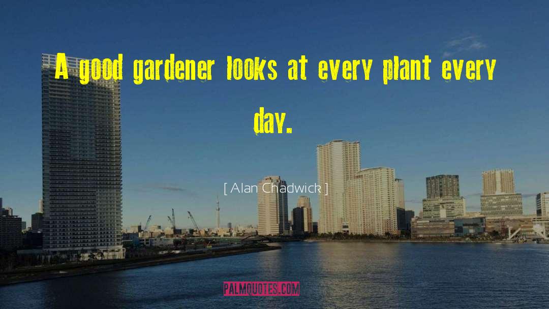 Good Gardener quotes by Alan Chadwick