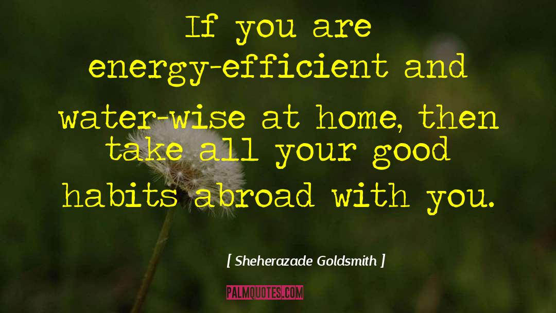 Good Habits quotes by Sheherazade Goldsmith