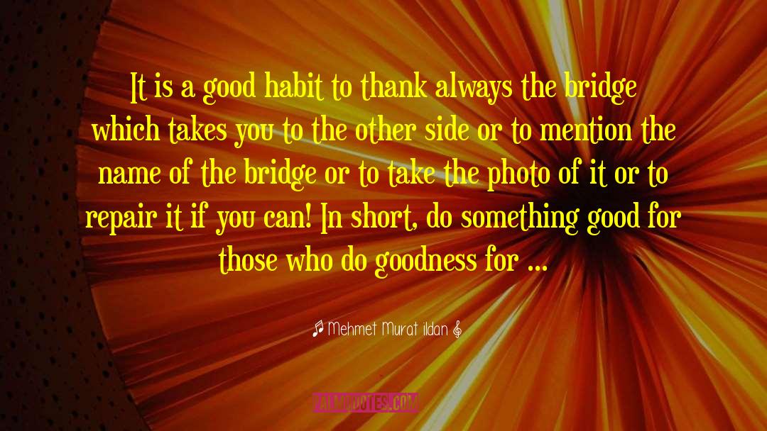 Good Habits quotes by Mehmet Murat Ildan