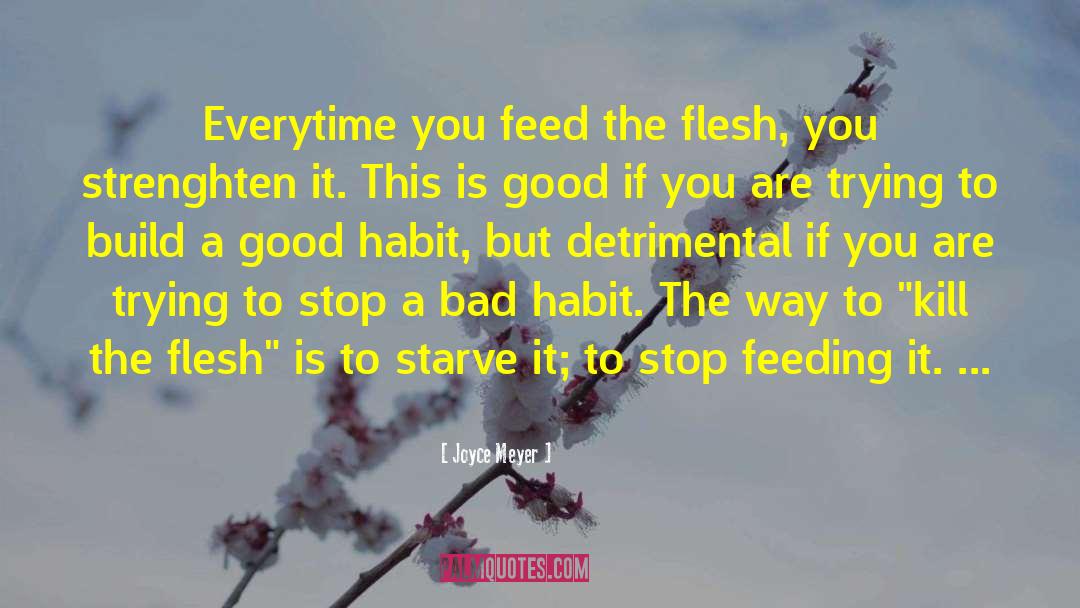 Good Habits quotes by Joyce Meyer