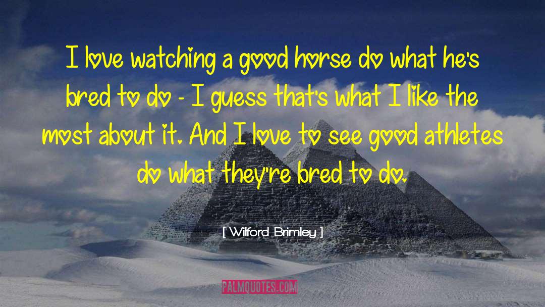 Good Horse quotes by Wilford Brimley