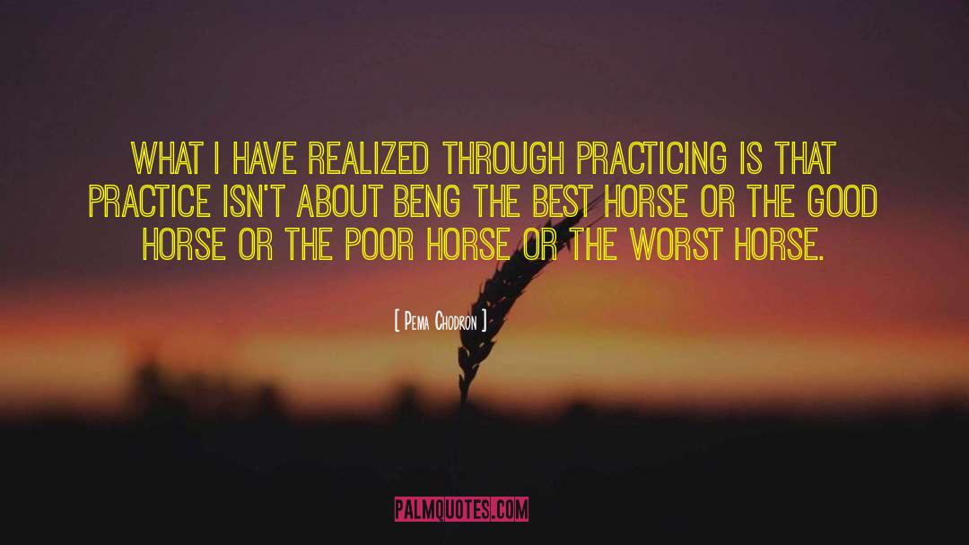 Good Horse quotes by Pema Chodron