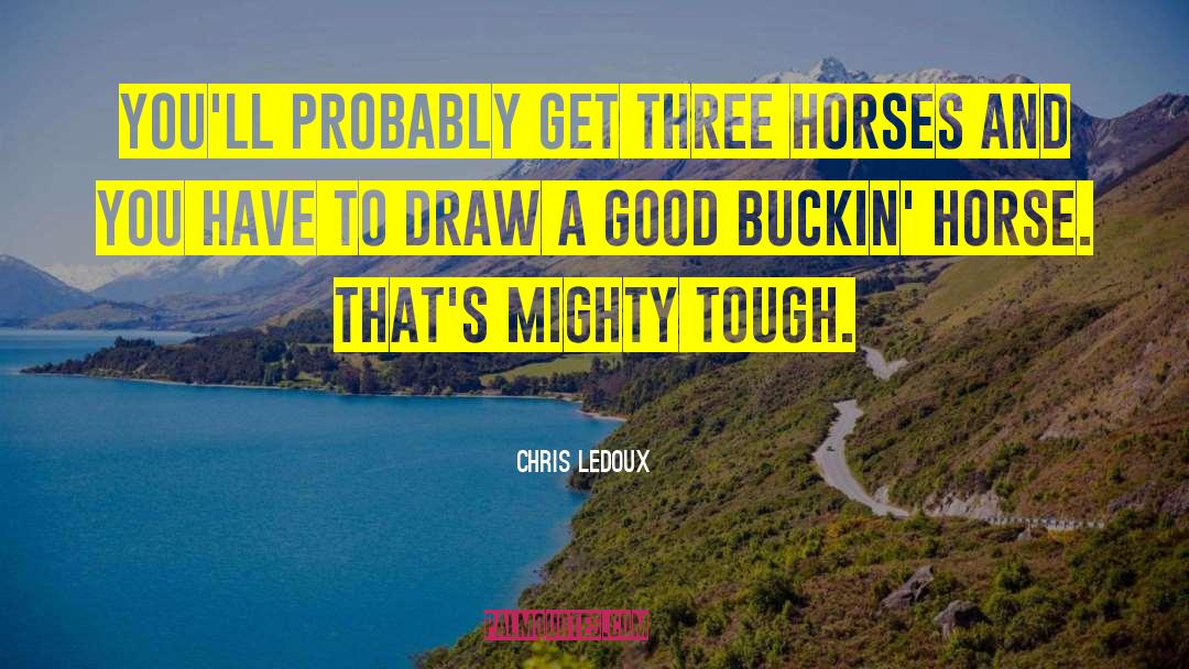 Good Horse quotes by Chris LeDoux