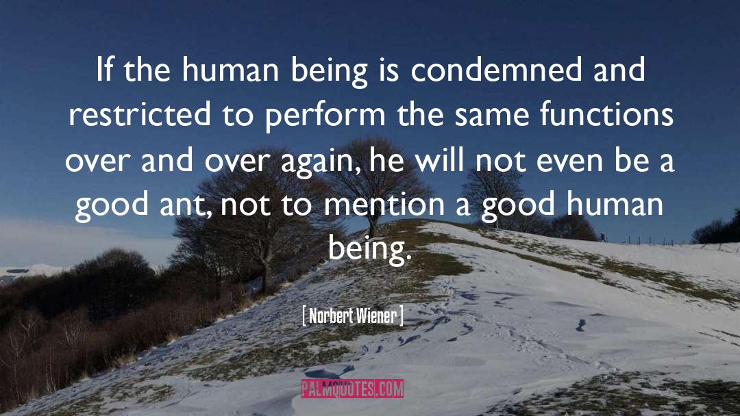 Good Human Being quotes by Norbert Wiener