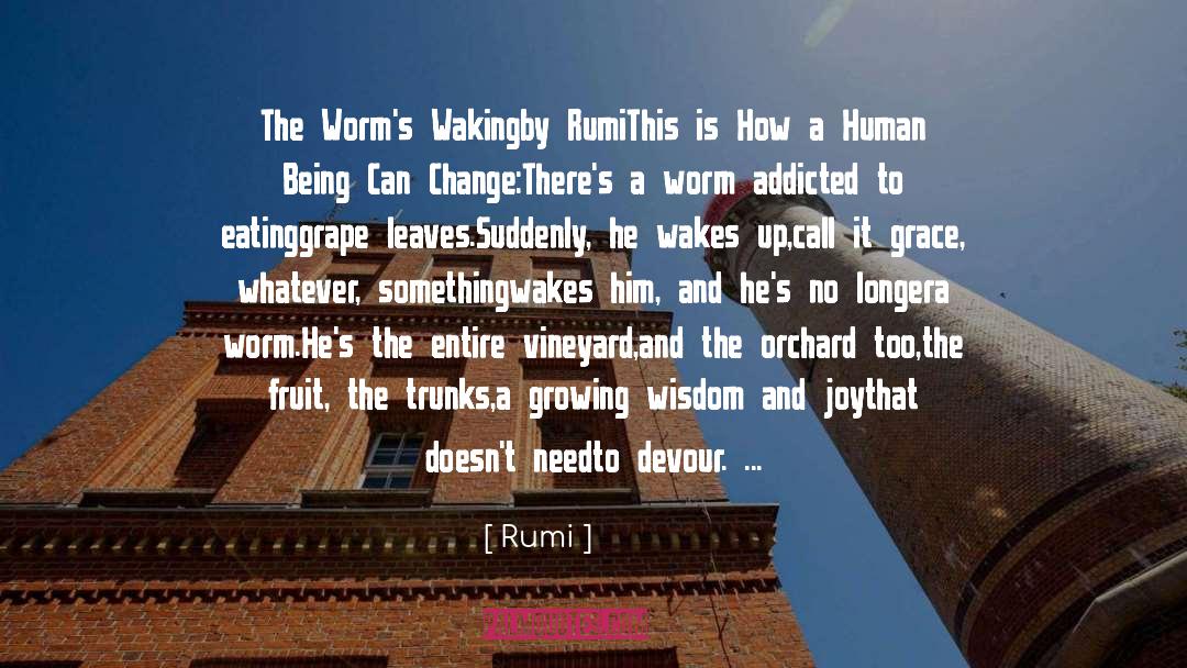 Good Human Being quotes by Rumi
