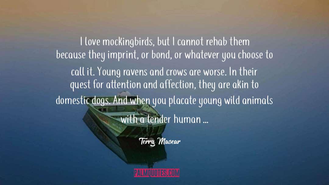 Good Human Being quotes by Terry Masear
