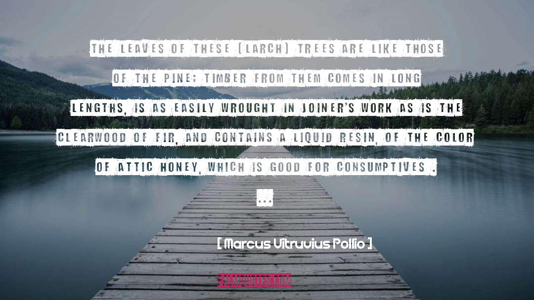 Good Information quotes by Marcus Vitruvius Pollio