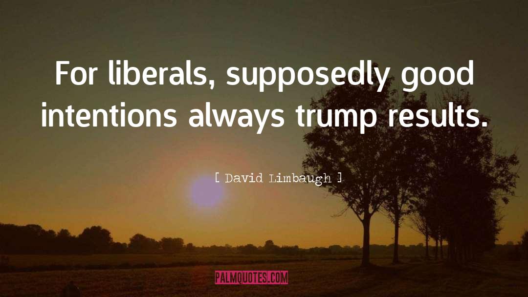 Good Intentions quotes by David Limbaugh