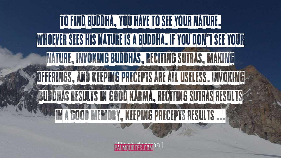 Good Karma quotes by Bodhidharma