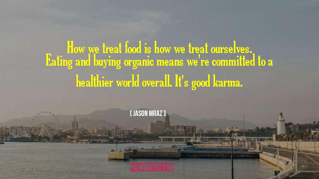 Good Karma quotes by Jason Mraz