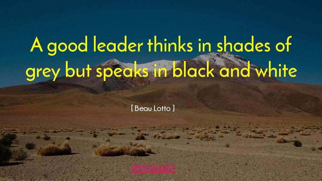 Good Leader quotes by Beau Lotto