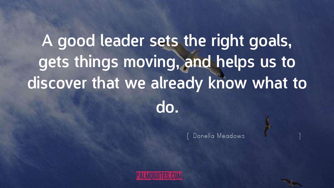 Good Leader quotes by Donella Meadows