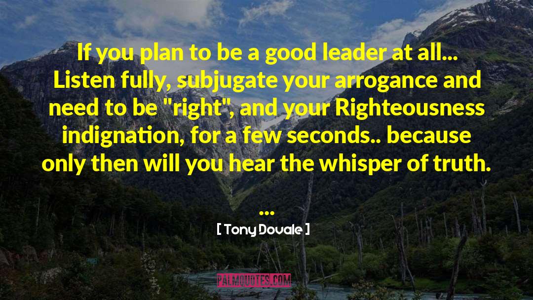 Good Leadership Skills quotes by Tony Dovale
