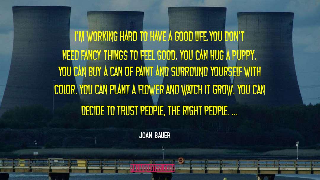 Good Life quotes by Joan Bauer