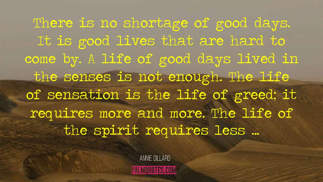 Good Lives quotes by Annie Dillard