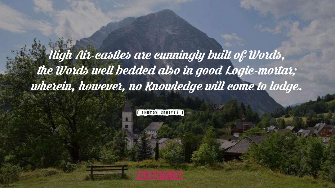 Good Logic quotes by Thomas Carlyle