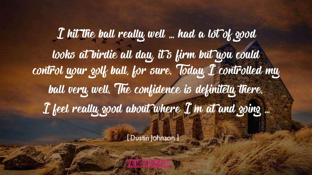 Good Looks quotes by Dustin Johnson