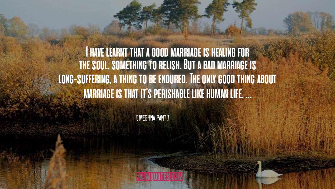 Good Marriage quotes by Meghna Pant