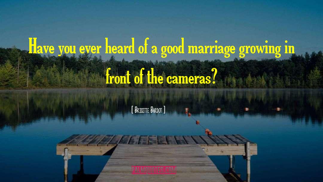 Good Marriage quotes by Brigitte Bardot