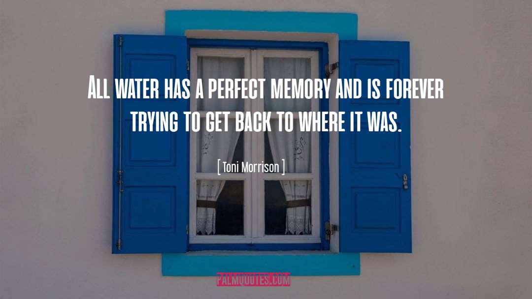 Good Memories quotes by Toni Morrison