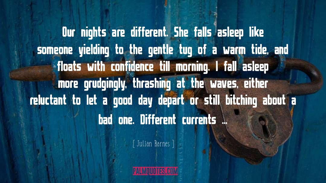 Good Morning Babe quotes by Julian Barnes