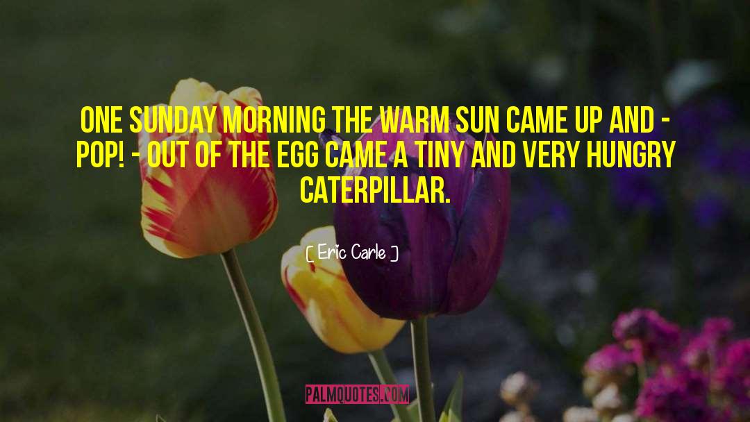 Good Morning Have A Great Sunday quotes by Eric Carle