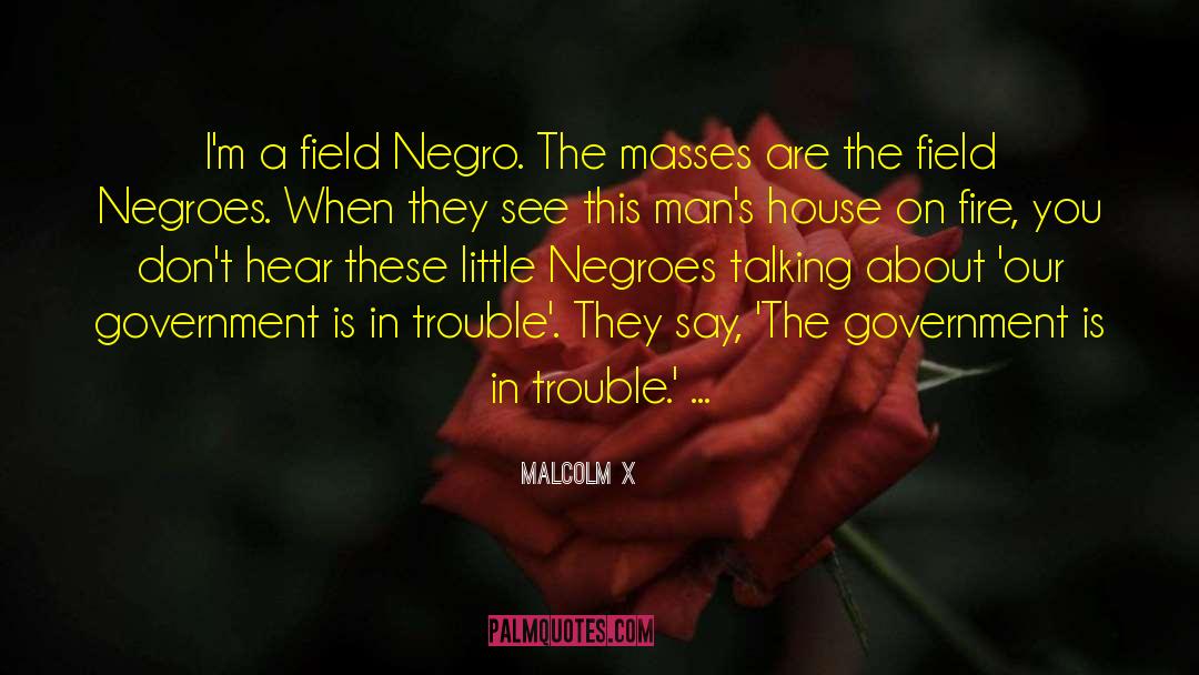 Good Negro Government quotes by Malcolm X