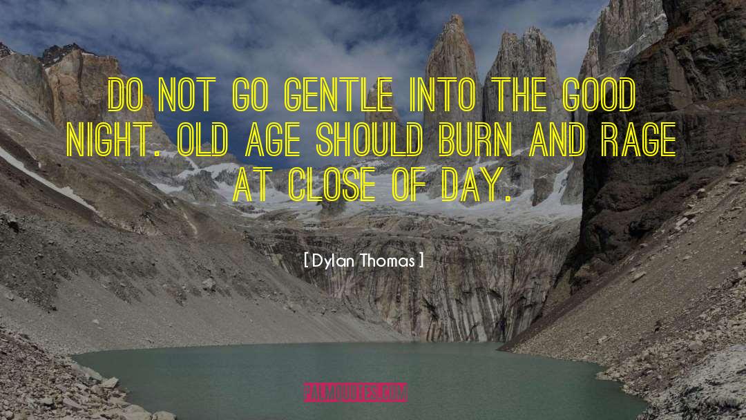 Good Night Sleep quotes by Dylan Thomas