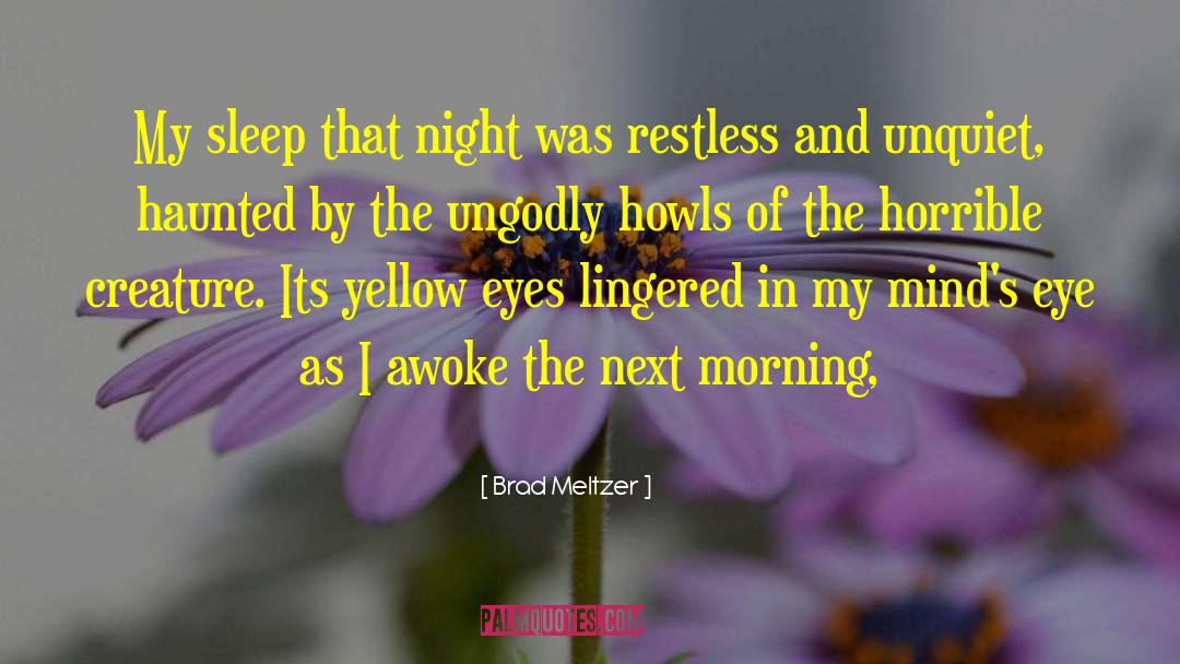 Good Night Sleep quotes by Brad Meltzer